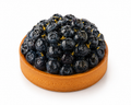 Blueberry Tart
