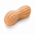 Peanut – Illusion Pastry