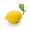 Lemon – Illusion Pastry