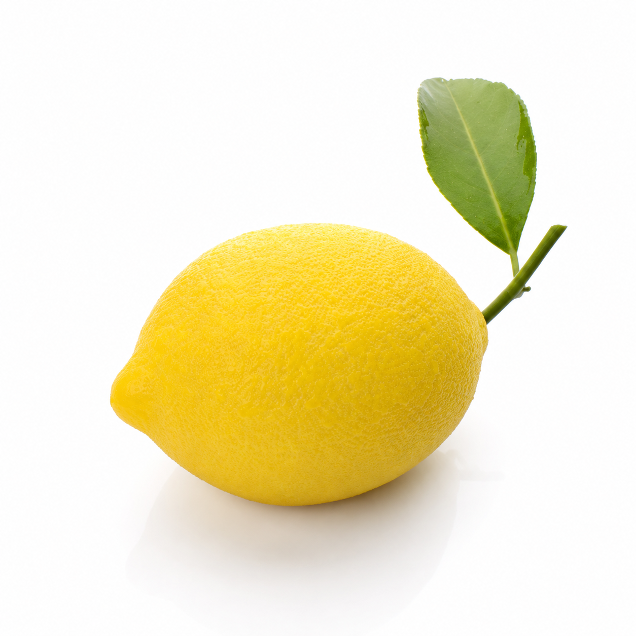 Lemon – Illusion Pastry